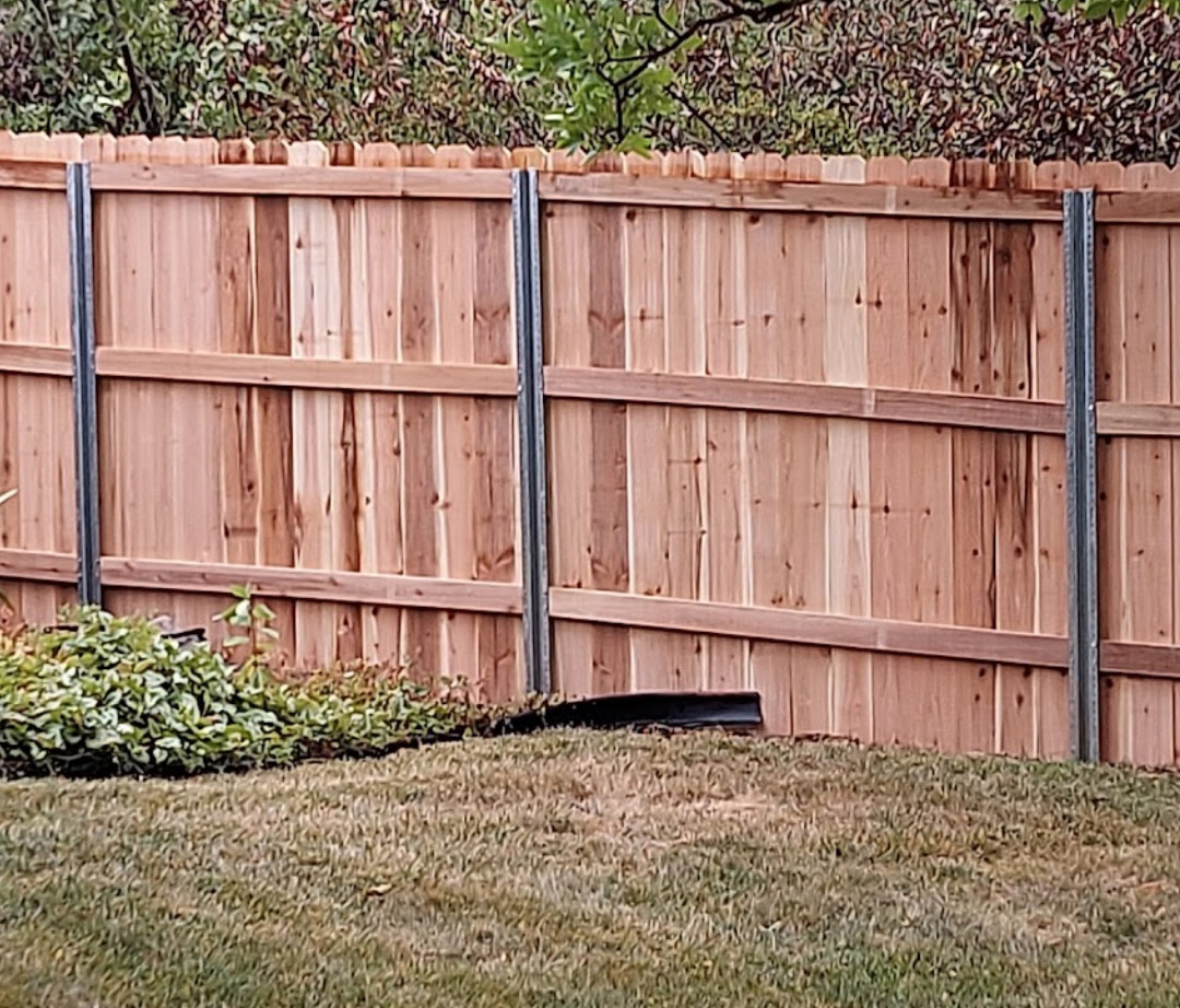 fencing