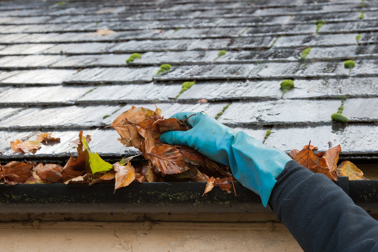 gutters